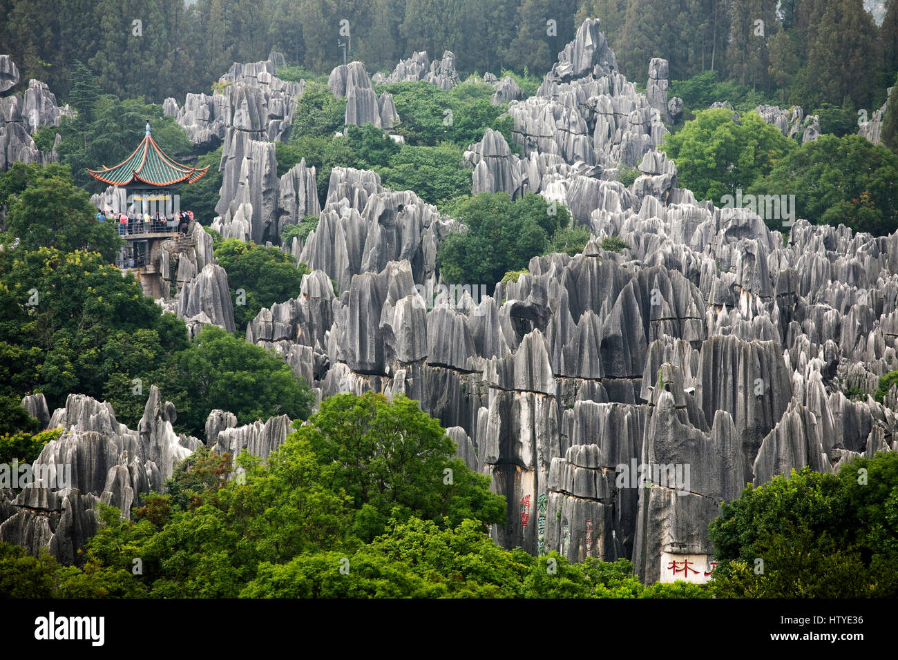 El Bosque de Piedras de Shilin es un conjunto de formaciones de piedra caliza situada en la provincia de Yunnan, China. Foto de stock