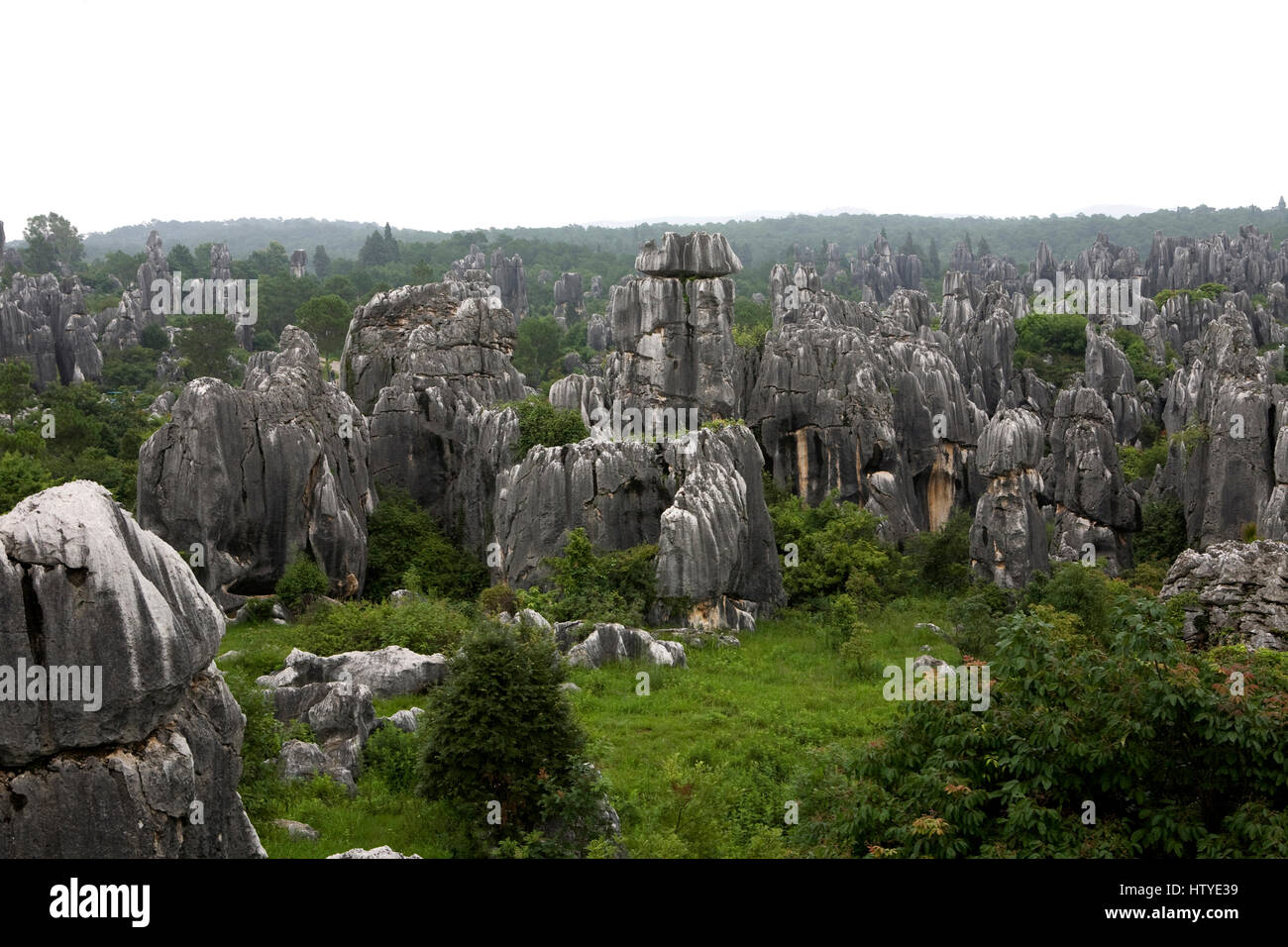 El Bosque de Piedras de Shilin es un conjunto de formaciones de piedra caliza situada en la provincia de Yunnan, China. Foto de stock