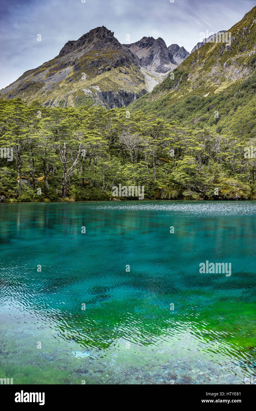 Lago Azul y el rango de Franklin, Parque Nacional de Los Lagos de Nelson, Nueva Zelanda Foto de stock