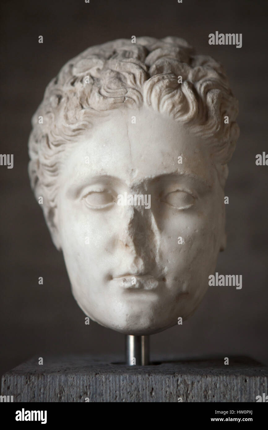 Acrópolis horsehead Escultura Busto de griego antiguo artefacto 