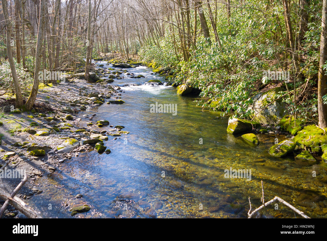 Vista desde Little River Trail en el Great Smoky Mountains National Park Foto de stock