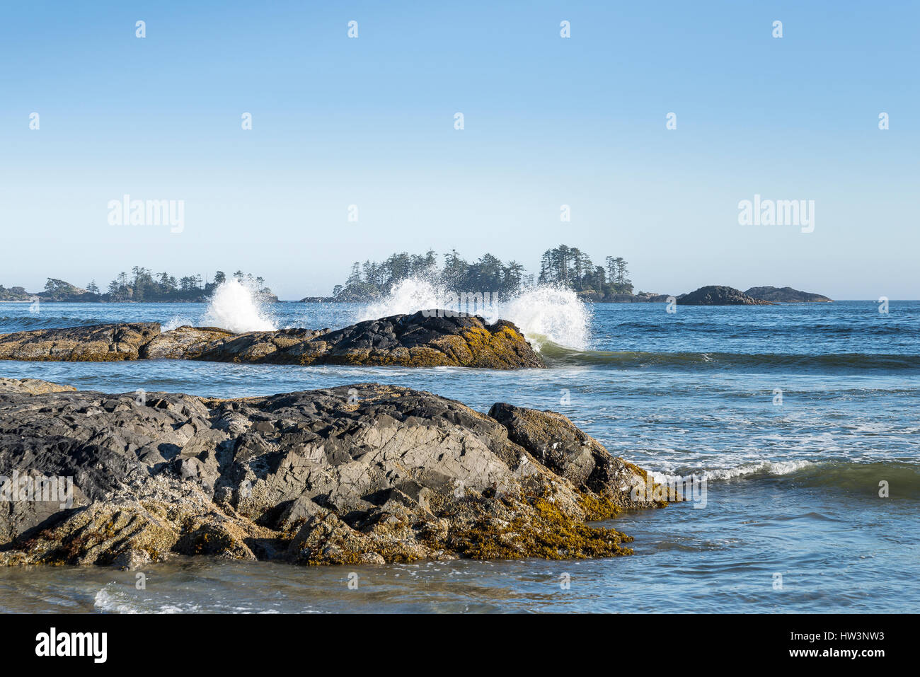Playa Chesterman, Tofino, Vancouver Island, British Columbia, Canadá Foto de stock