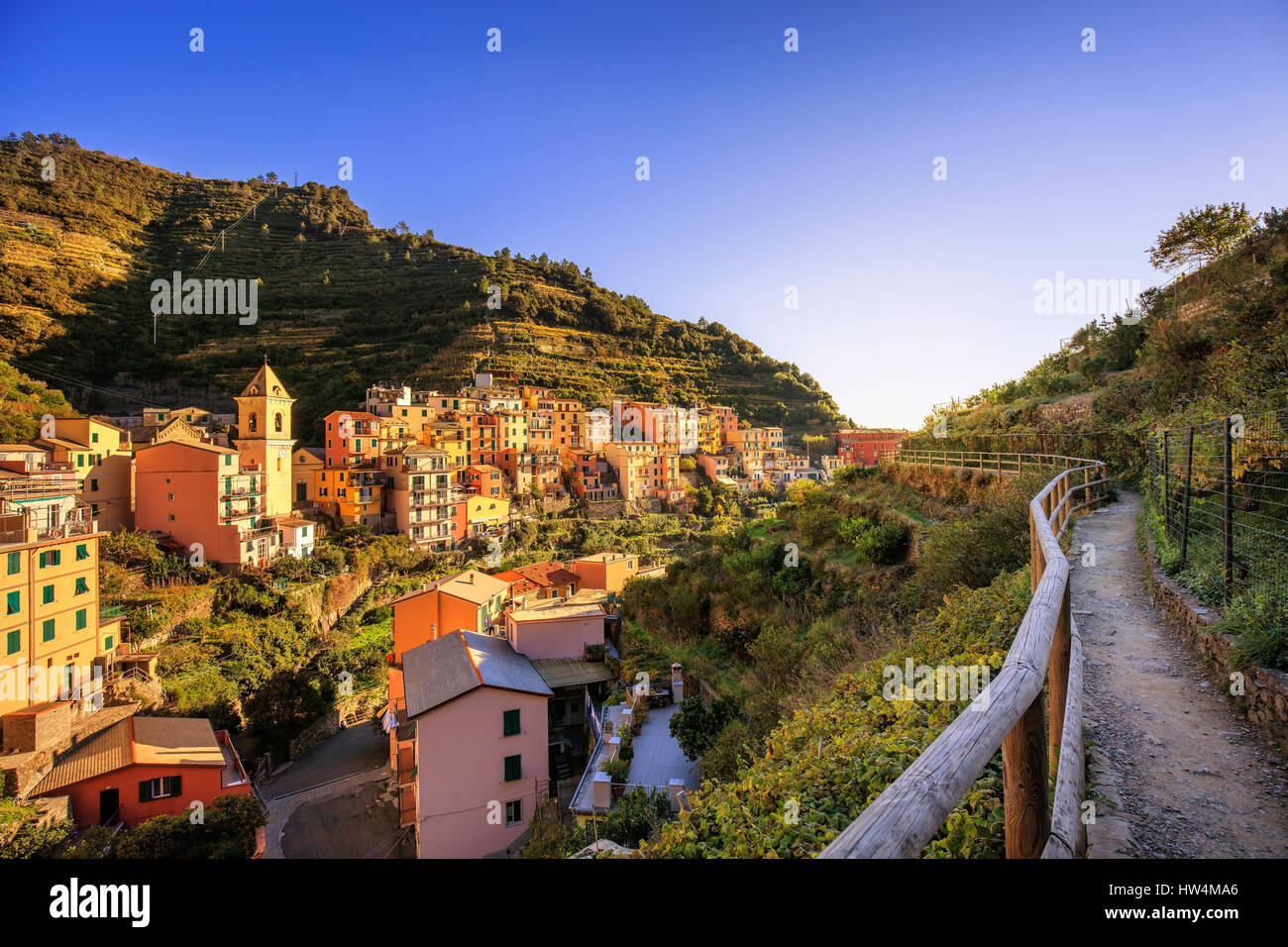 Manarola village, sendero de trekking, iglesia y viña. El Parque Nacional de Cinque Terre, Liguria Italia Europa. La larga exposición Foto de stock