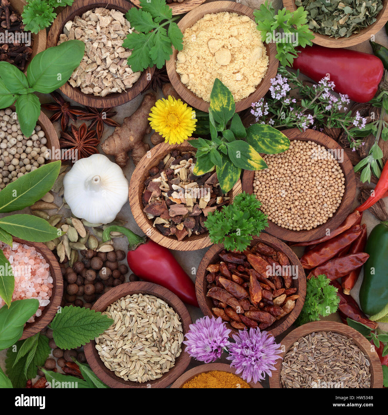 Selección de hierbas y especias para cocinar en cucharas Fotografía de  stock - Alamy
