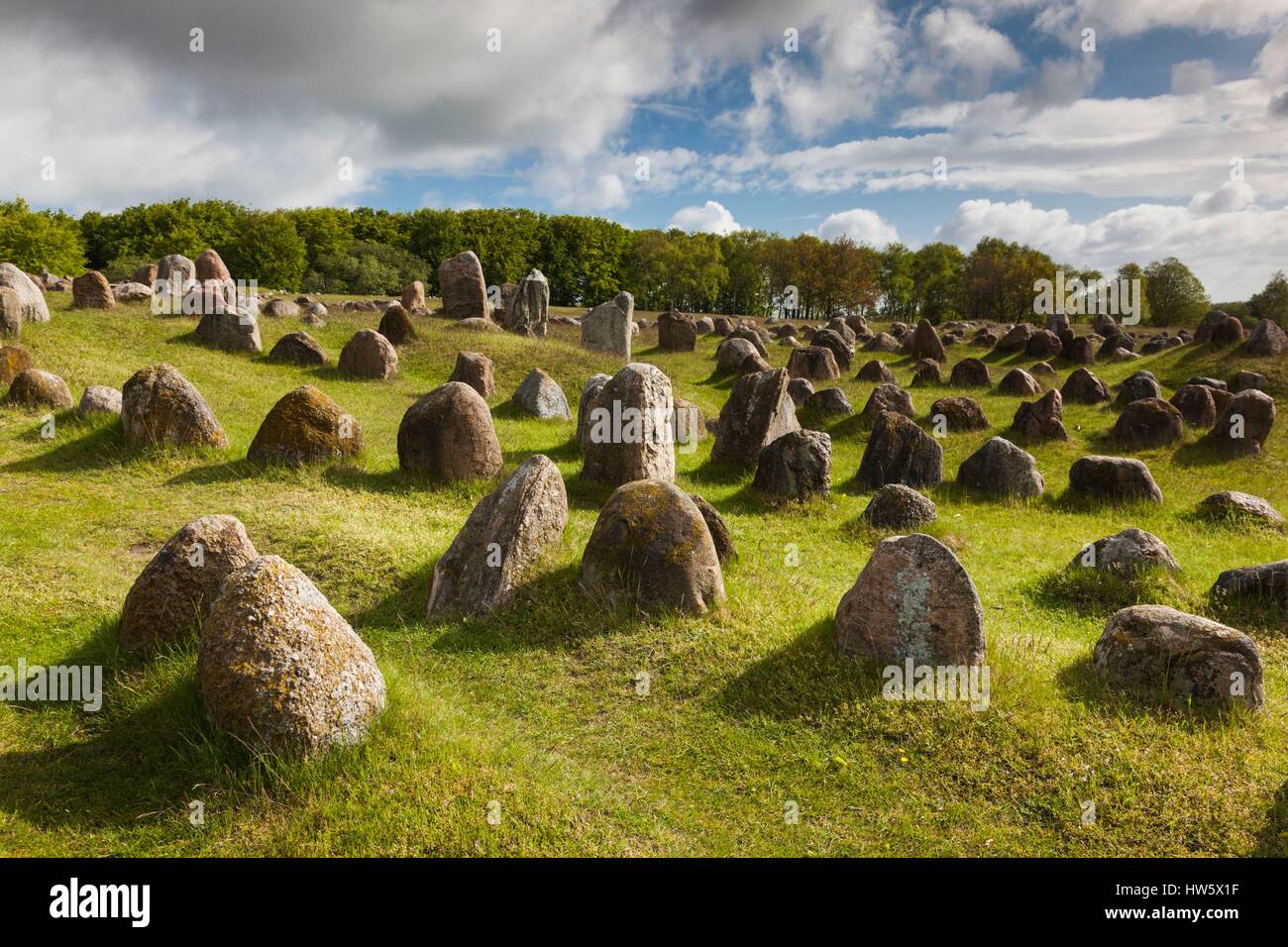Dinamarca, Jutlandia, Aalborg-Lindholm, Lindholm Hoje, Cementerio vikingo Foto de stock