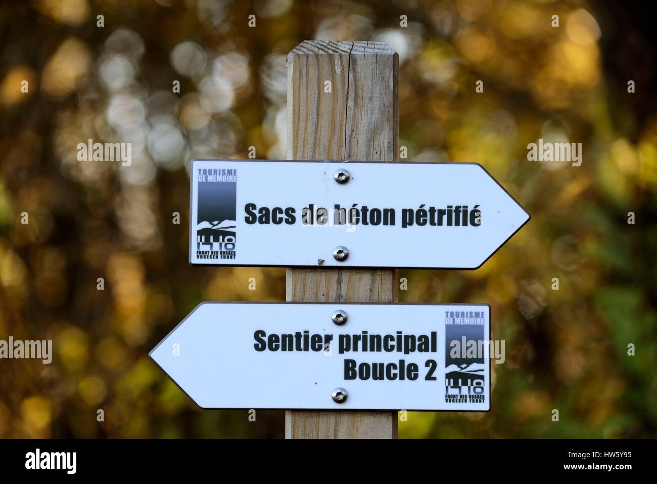 Francia, Haut Rhin, Hautes Vosges, o Hartmannswillerkopf Vieil Armand, Cementerio Nacional de la Primera Guerra Mundial,sans personne; extérieur; automne; histoire; tourisme de mémoire; Massif des Vosges;;; Wattwiller Hautes-Vosges Route des Crêtes; Hartmannswillerkopf; Vieil Armand; Nécropole nationale; museo; bataille; Première Guerre mondiale; sentier historique; paneles balisage panneaux; Foto de stock