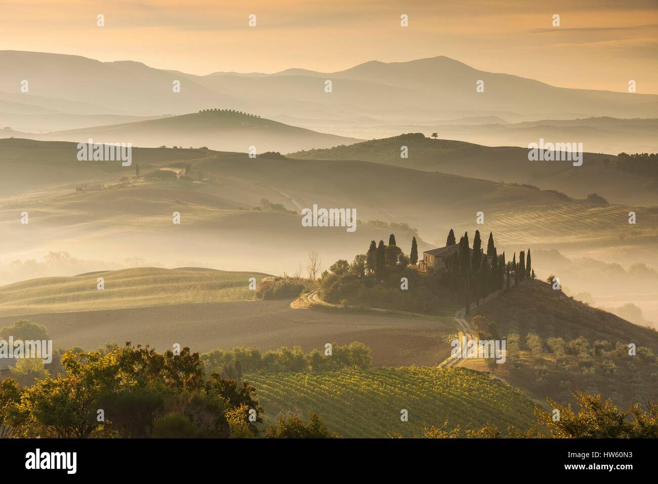 Italia, Toscana, Siena distrito, Valle de Orcia, catalogado como Patrimonio Mundial por la UNESCO, Podere Belvedere cerca de San Quirico d'Orcia Foto de stock