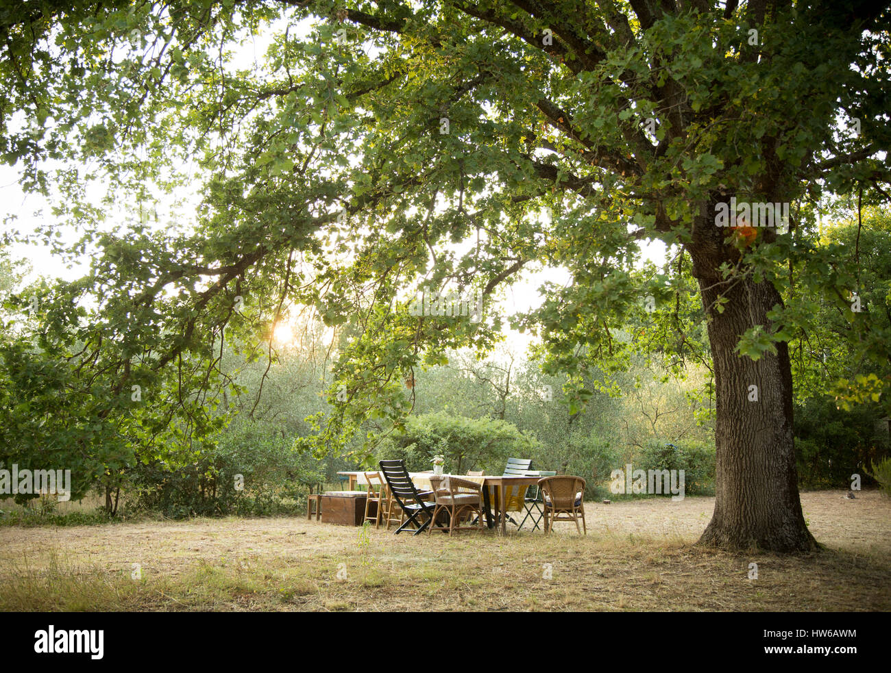 El comedor al aire libre en la Toscana, Italia. Foto de stock