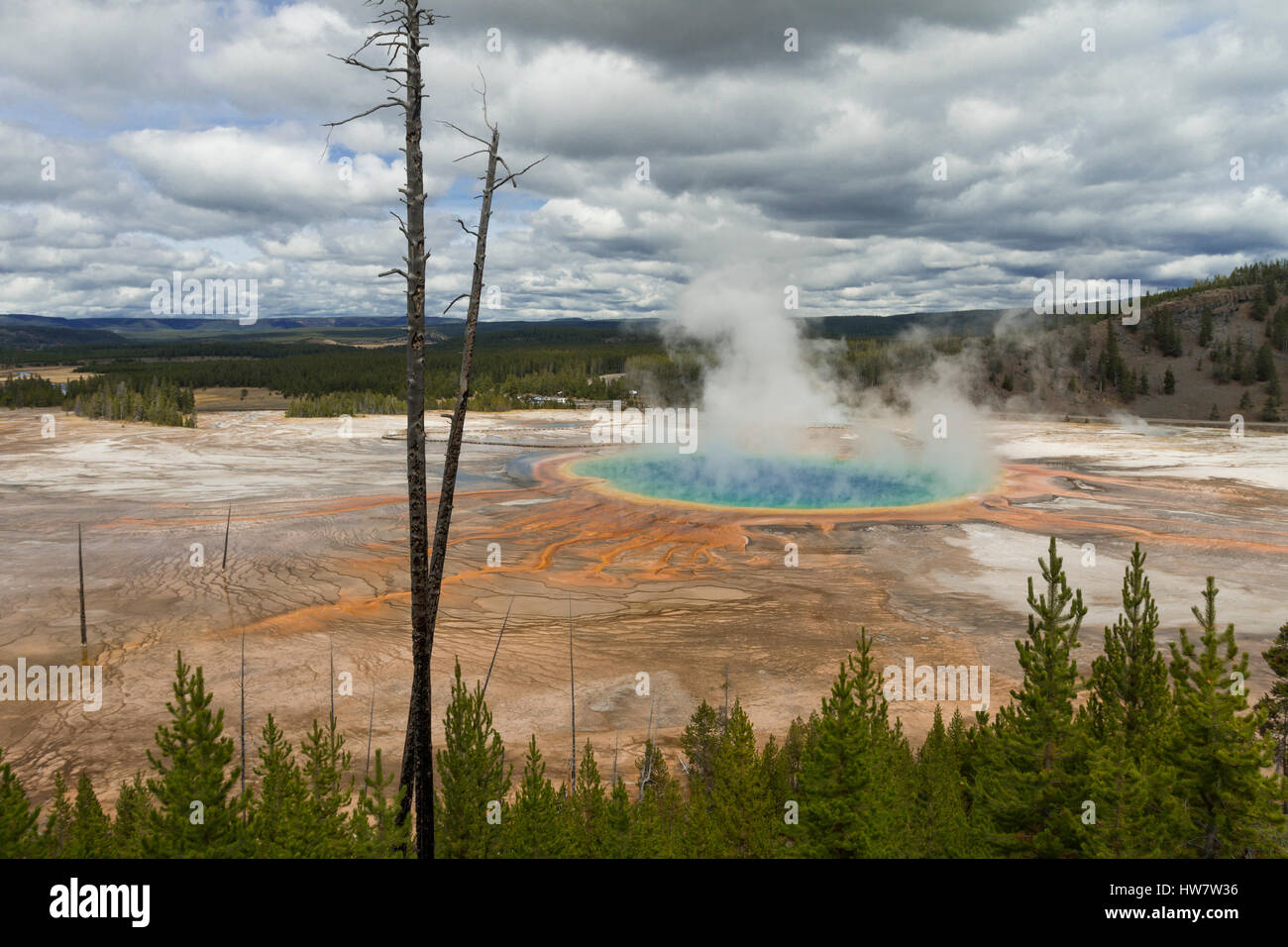 Grand Prismatic hot spring en el parque nacional Yellowstone, Wyoming. Foto de stock