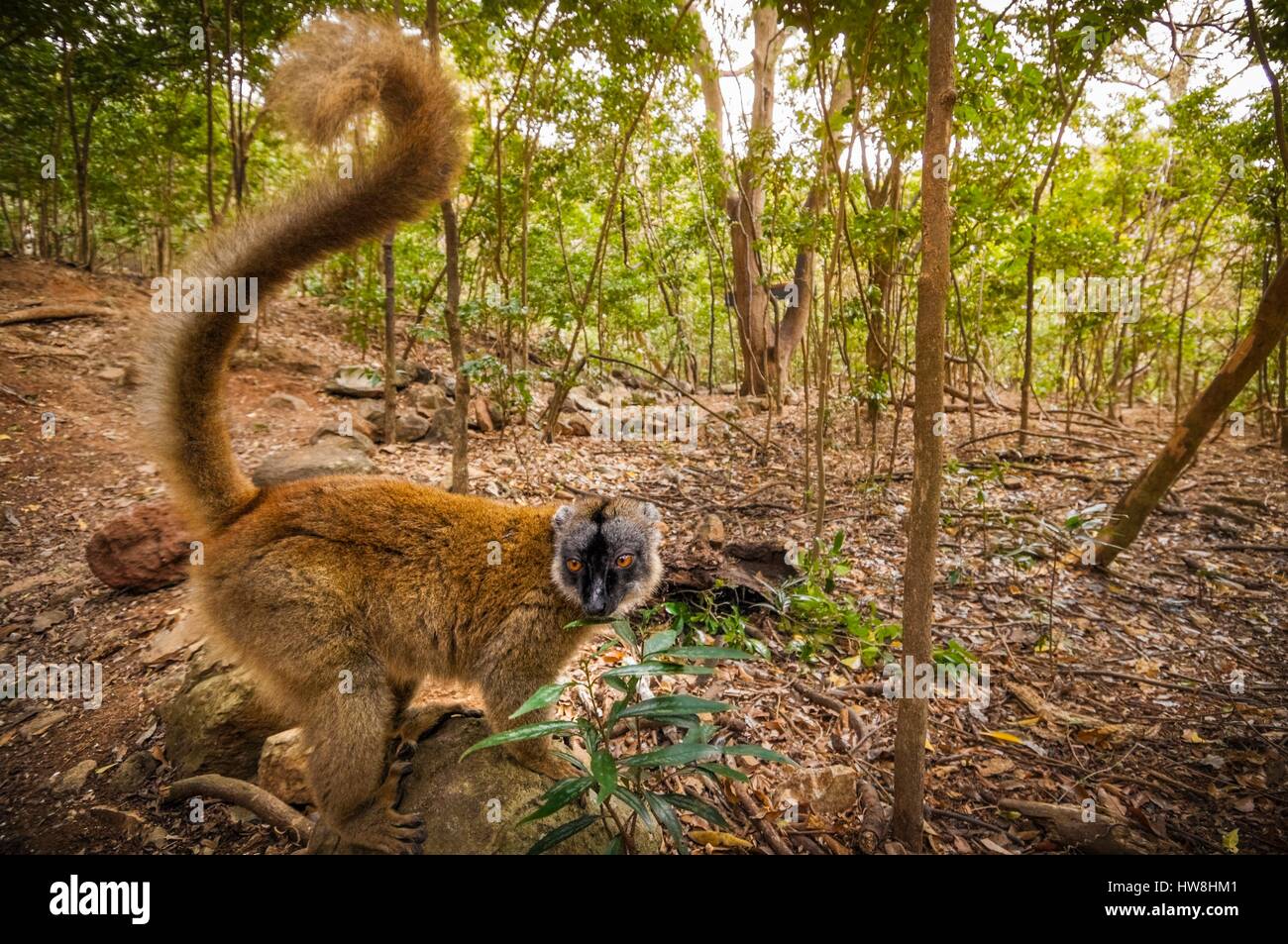 Chissioua mbouzi fotografías e imágenes de alta resolución Alamy