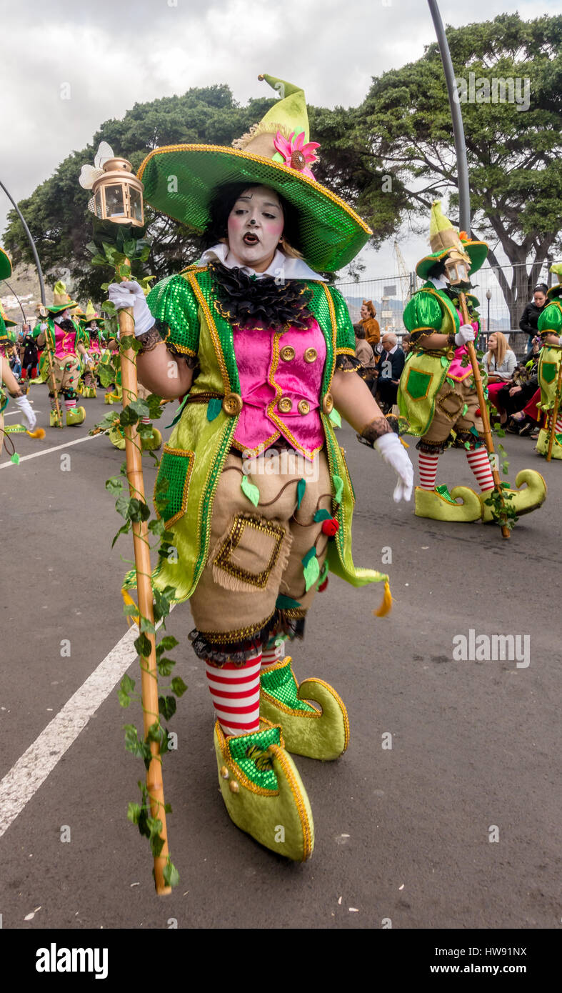 Niña y mujer en elaborados trajes de disfraces, el carnaval de Tenerife  Fotografía de stock - Alamy