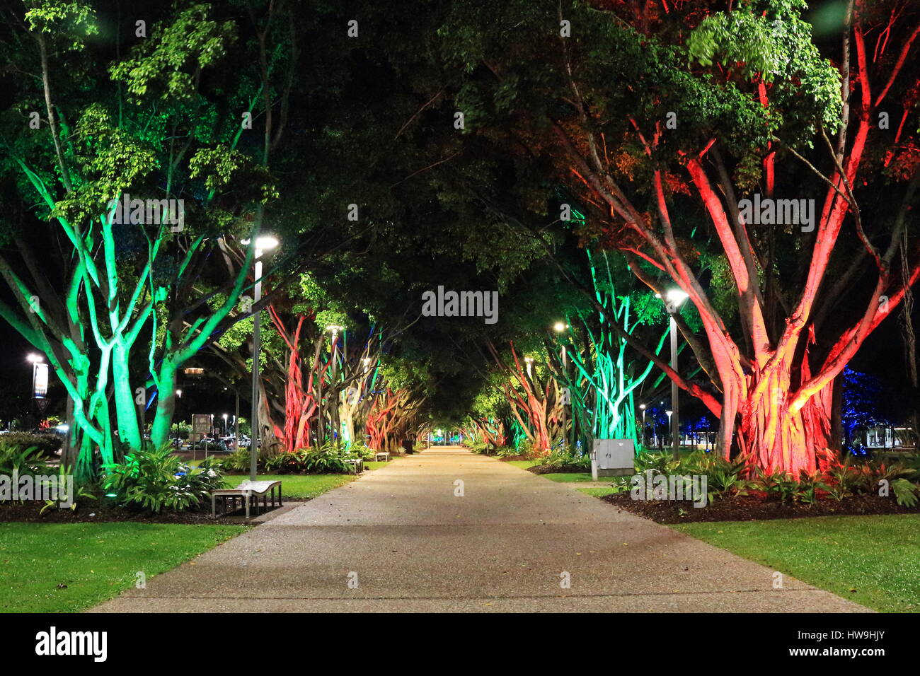 Cairns y audaz de color iluminadas de noche paseo cubierto de árboles de la marina y el muelle en el pasado la piscina laguna a la Explanada Foto de stock