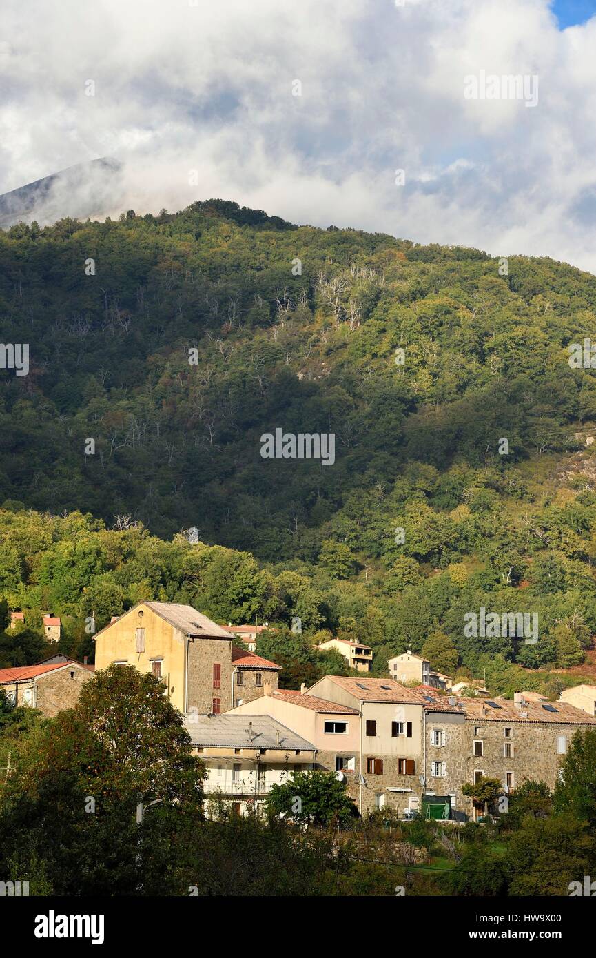 Francia, Corse du Sud, Prunelli River Valley, Bastelica Foto de stock