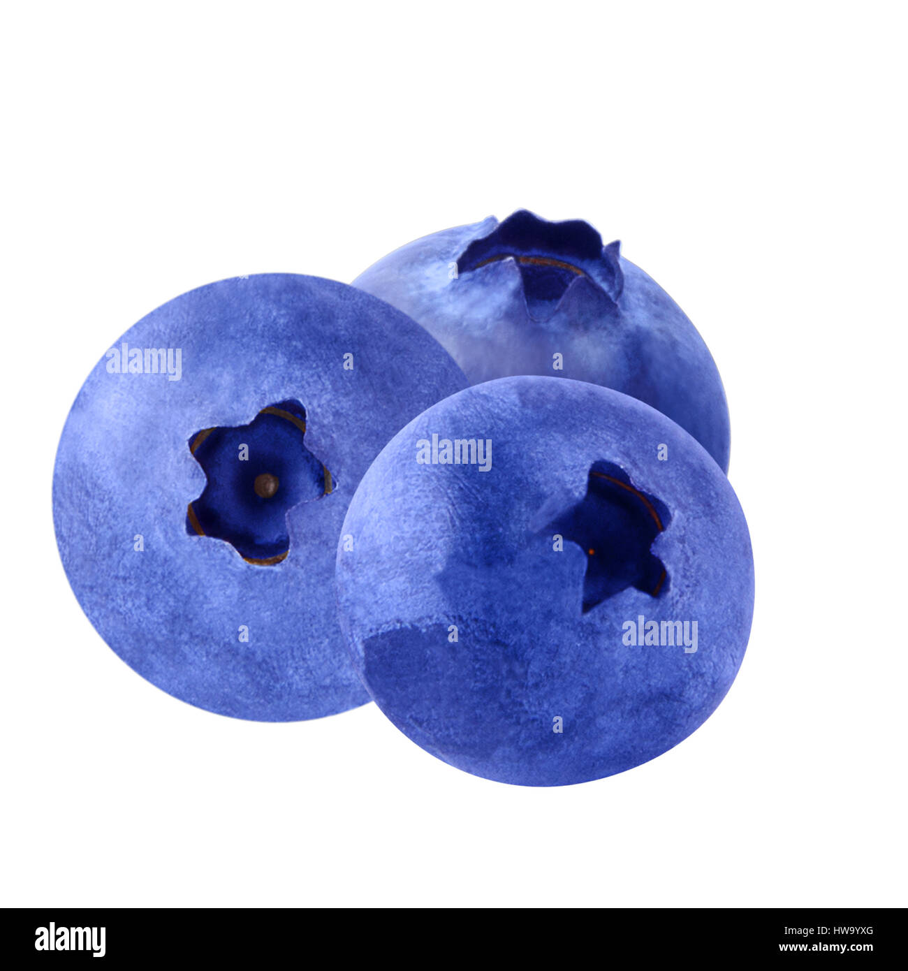 Blueberry aislados. arándanos frutas aisladas sobre fondo blanco como