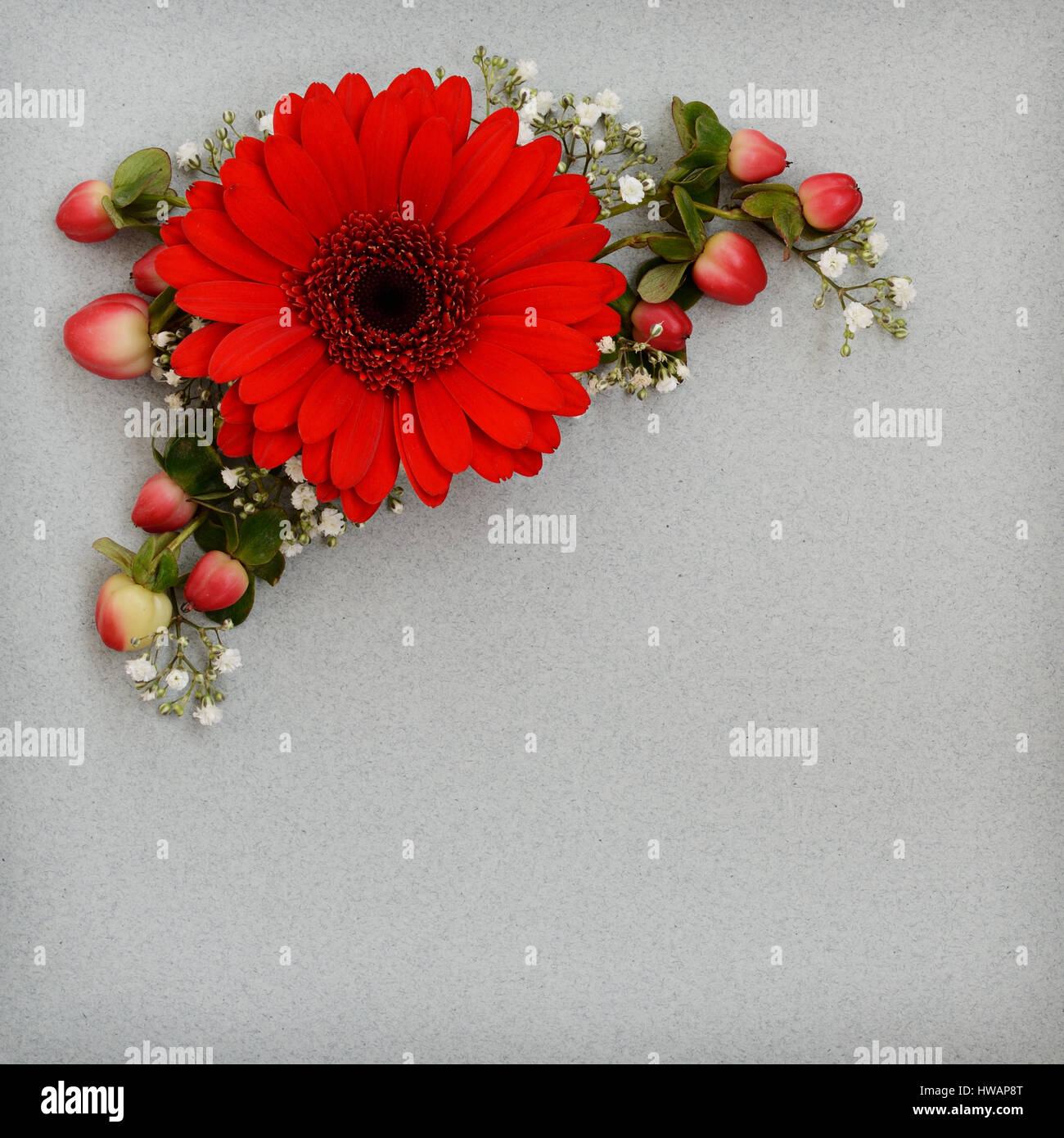 Esquina decorativo de flores rojas y blancas sobre fondo de papel de color  gris. Sentar planas, vista superior Fotografía de stock - Alamy