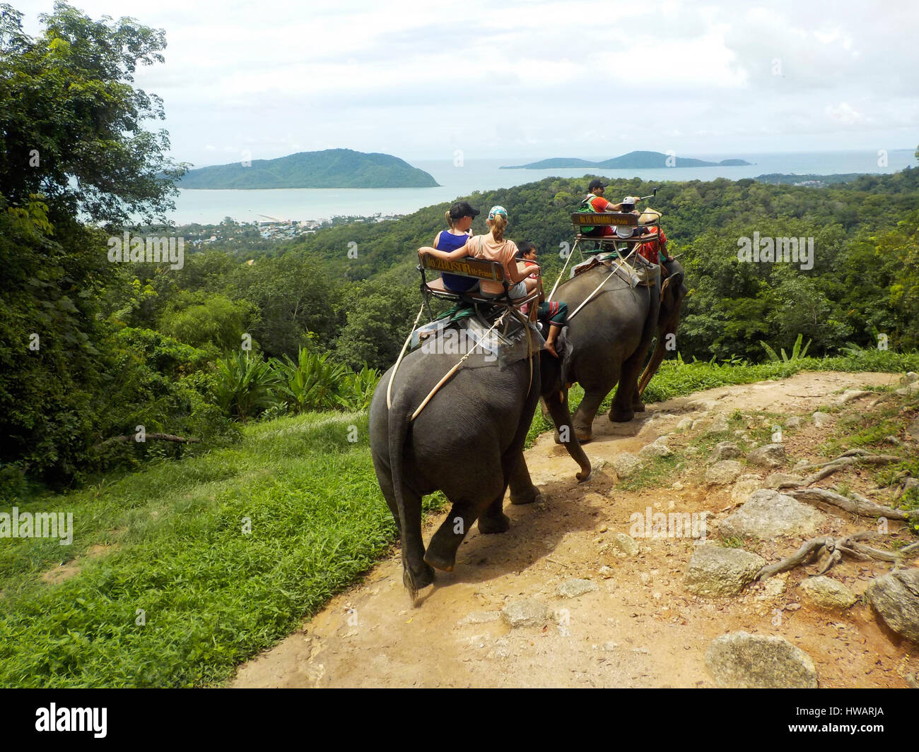 Paseos en elefante en Tailandia Foto de stock