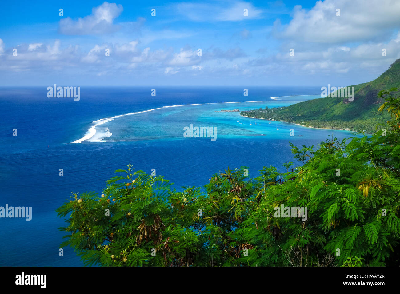 Vista aérea de la Bahía de Opunohu y la laguna de la isla de Moorea. La Polinesia Francesa Foto de stock