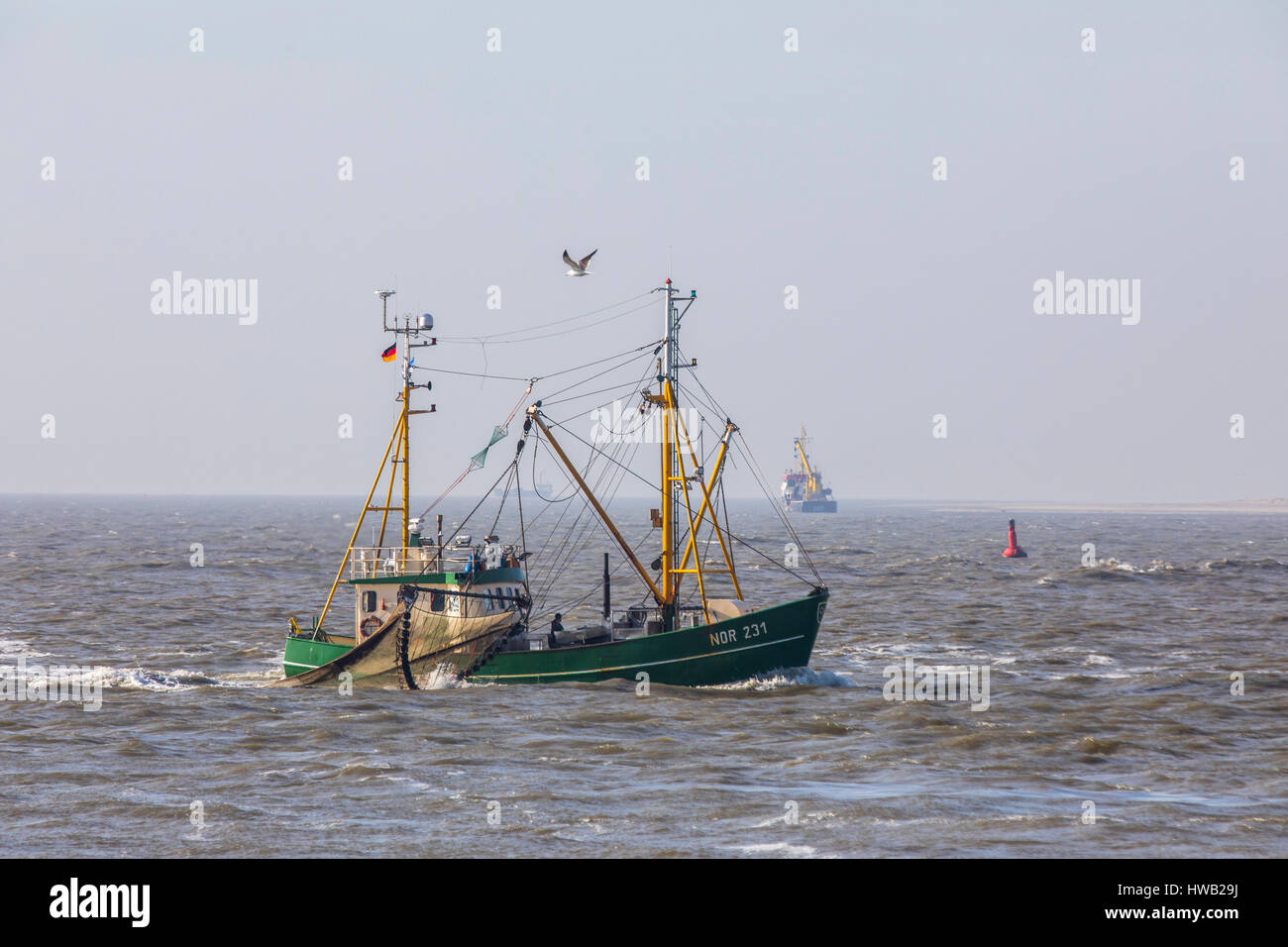Cortador de cangrejo, pesca de la alemana del Mar del Norte, costa afuera de las islas de Frisia Oriental Alemana Norderney, Foto de stock