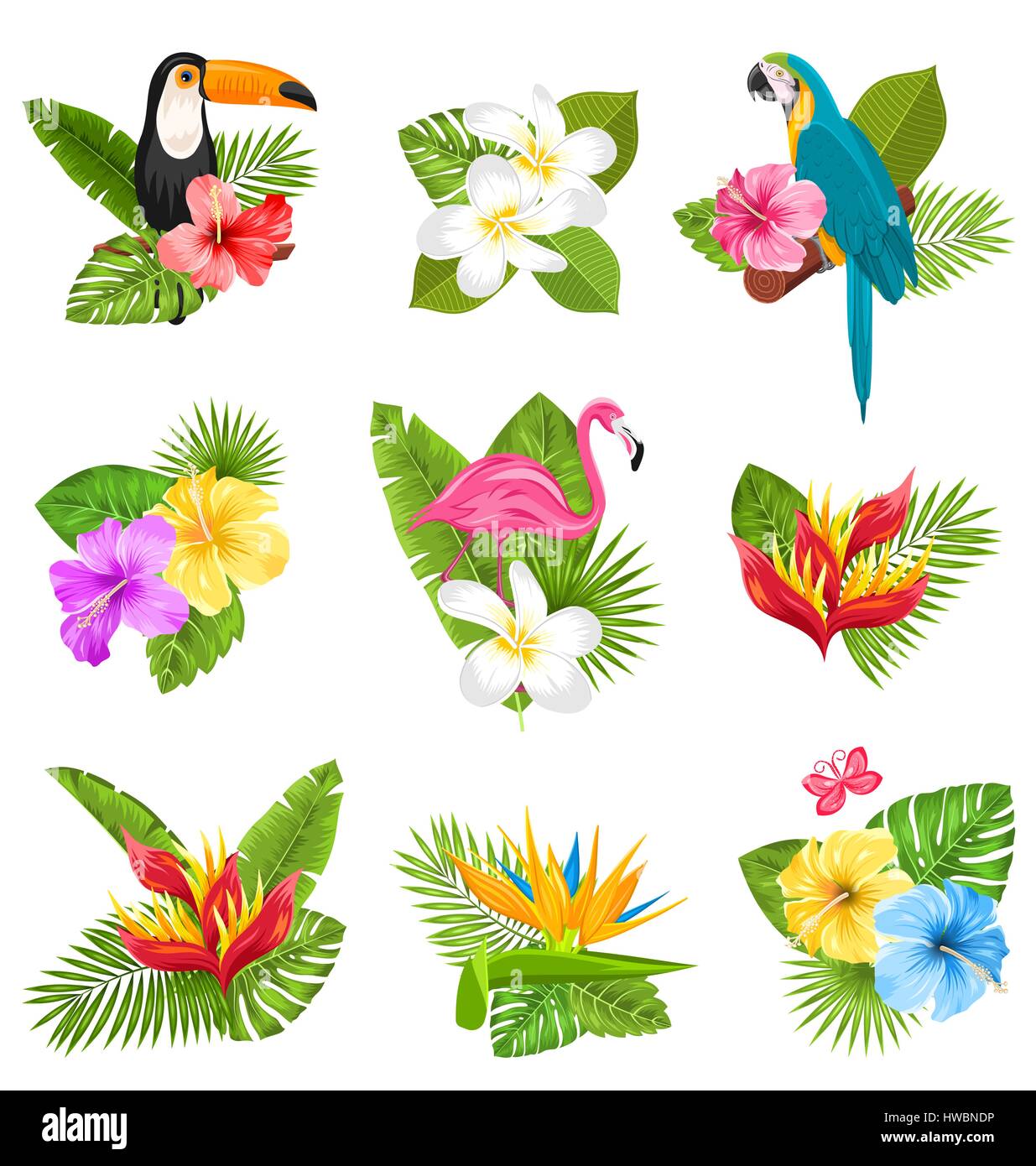 Establecer la composición con flores tropicales, aves exóticas y plantas  Imagen Vector de stock - Alamy