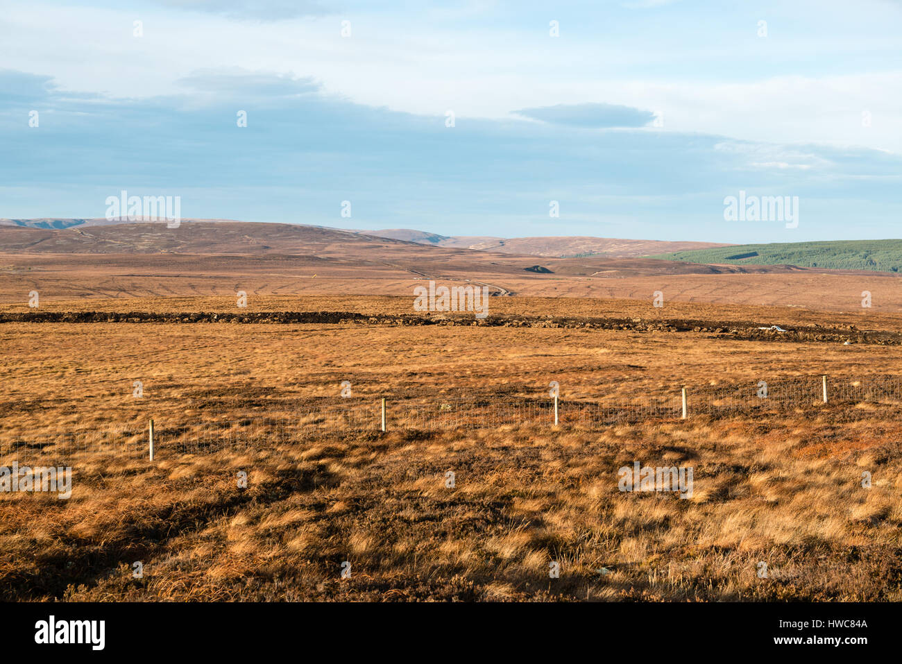 El sitio de Tom nan Clach Wind Farm, cerca de Cawdor, Nairnshire en Escocia. Un total de 13 x 3MW, 125m de alto que las turbinas son planeados para el sitio. Foto de stock