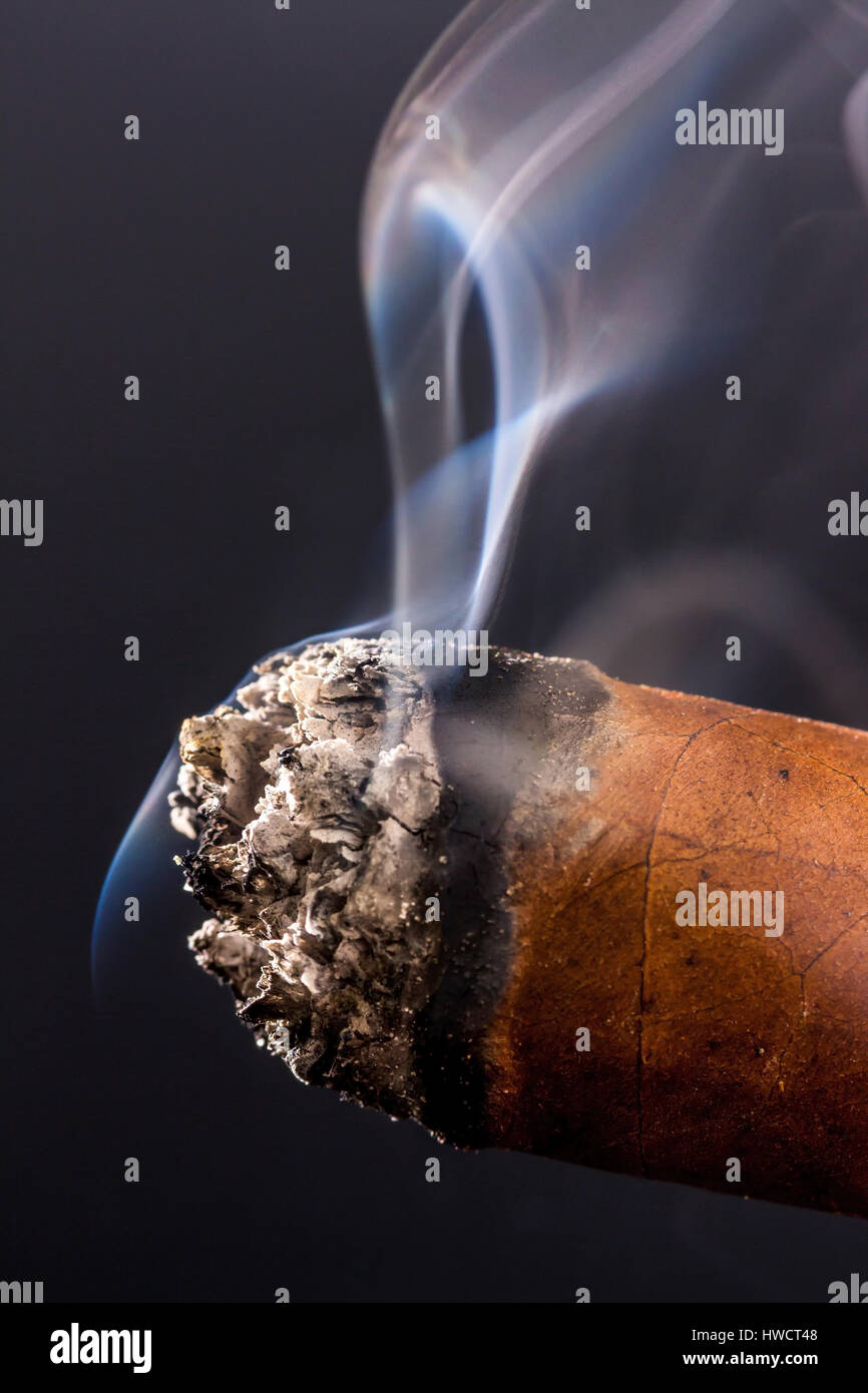 Fumar cigarro. Una foto simbólica para la adicción y placer, Rauchende Zigarre. Ein Symbolfoto für Sucht und Genuss Foto de stock