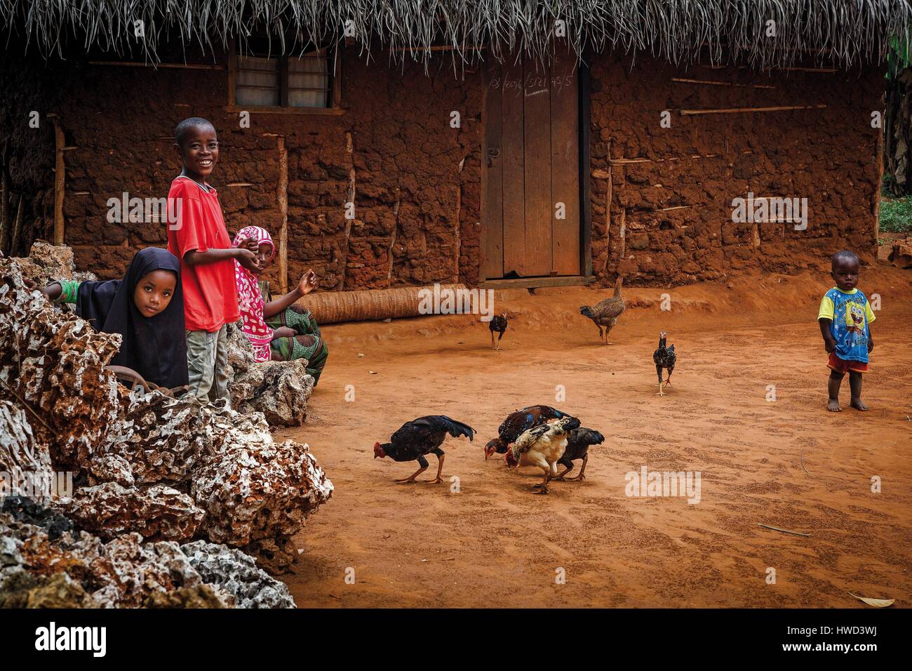 Tanzania, Zanzíbar Kizimbani, la familia rural en su farm yard en medio de las gallinas y la gallina de guinea Foto de stock