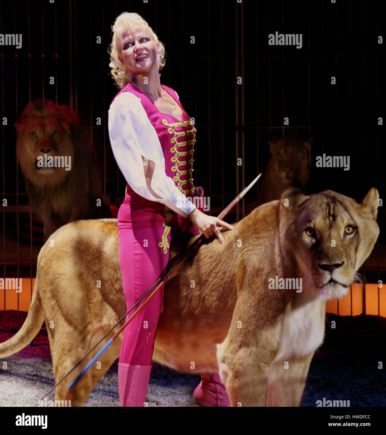 Domador de leones en Circo Renz Fotografía de stock - Alamy
