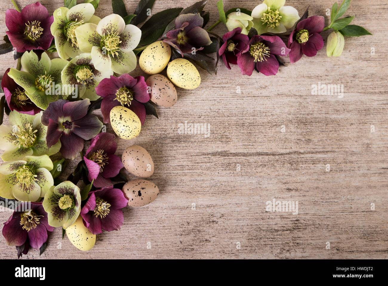 La Pascua vintage fondo con flores de primavera color pastel. Copie el  espacio, fondo rústico Fotografía de stock - Alamy