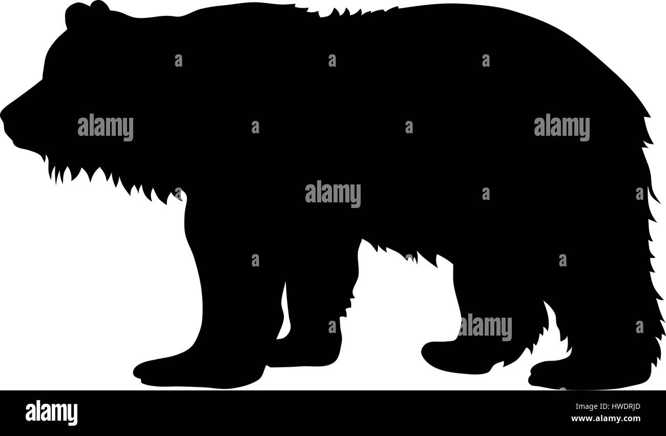 Ilustración vectorial de oso pardo silueta Ilustración del Vector