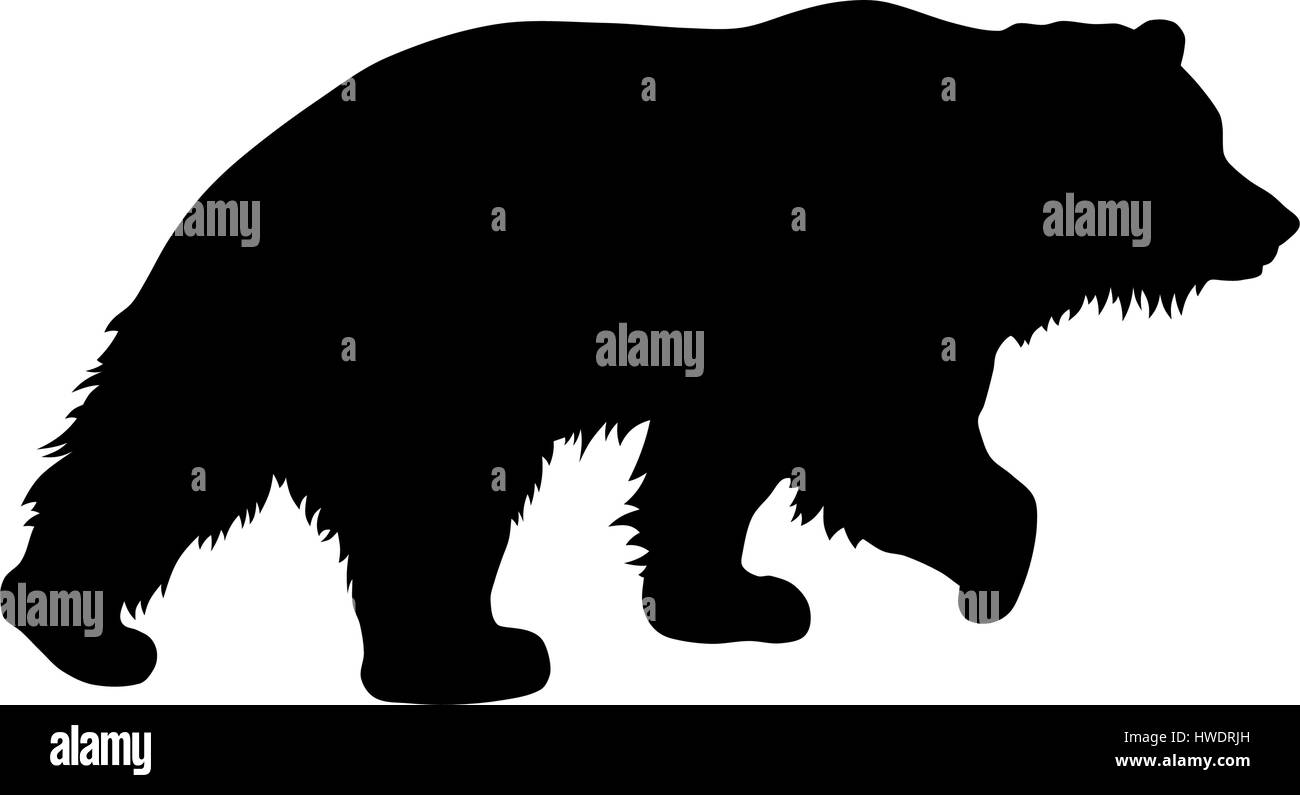Ilustración vectorial de oso pardo silueta Ilustración del Vector