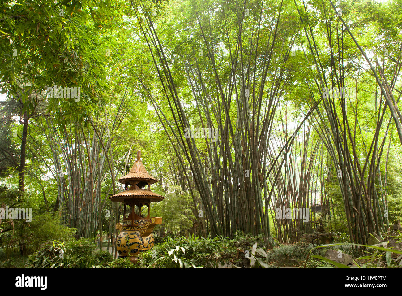 Pagoda en bambú verde bosque, Wang Jian lou park, de Chengdu, Sichuan, China Foto de stock