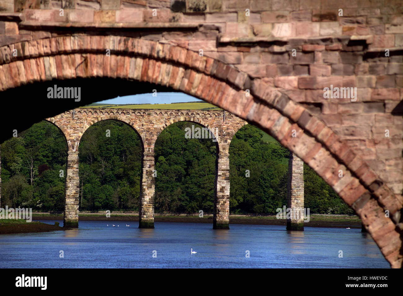 Puentes sobre el Tweed, en Berwick-upon-Tweed, Northumberland Foto de stock