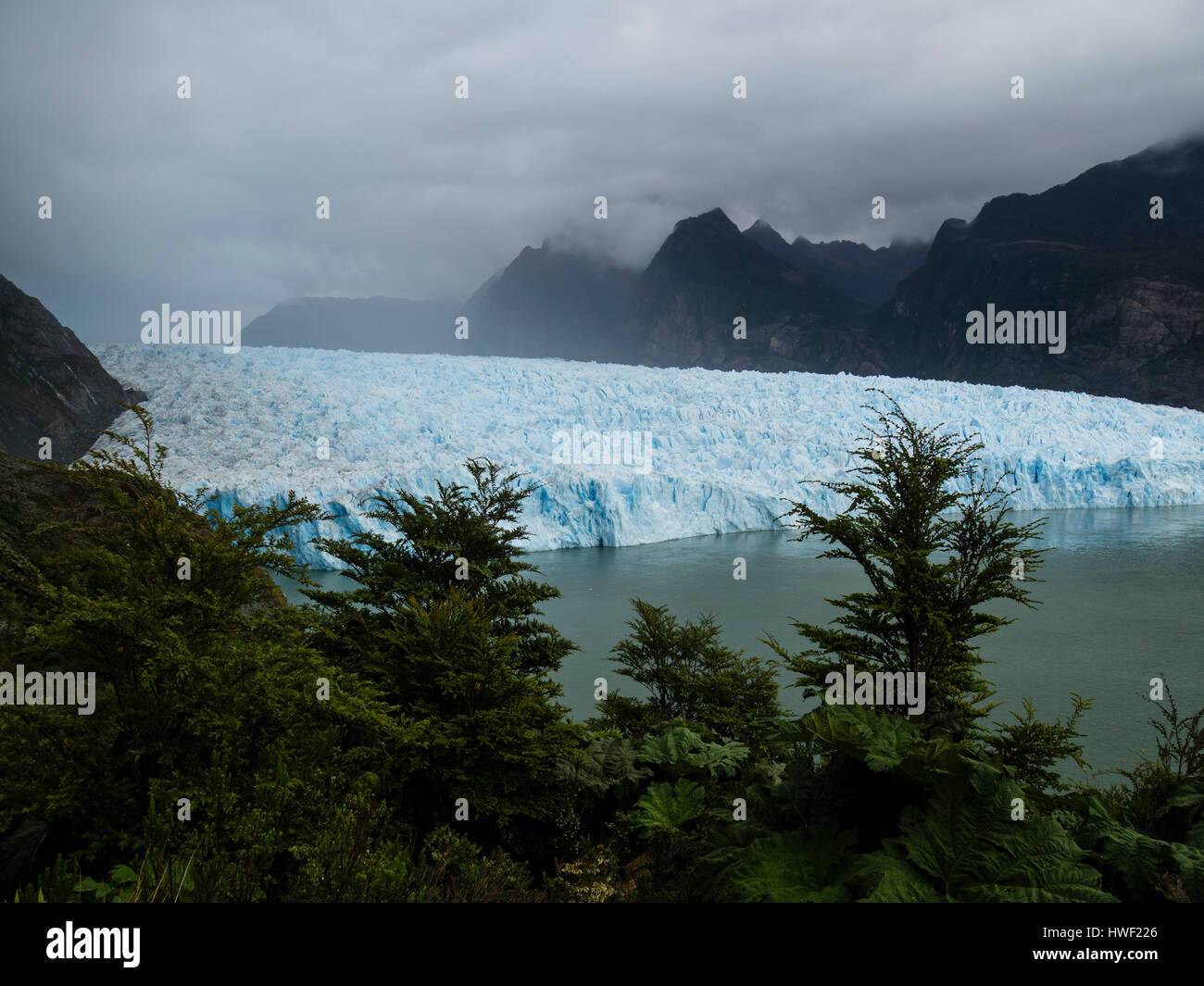 Mirador del glaciar San Rafael cerca del hocico, bosque lluvioso, la laguna San Rafael, parque nacional, región de Aysén, Patagonia, Chile Foto de stock