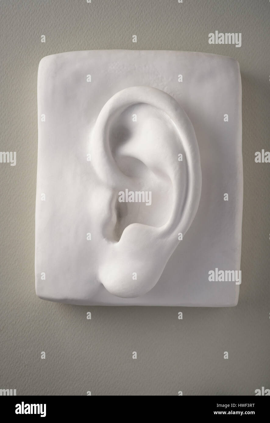 El oído humano escultura de yeso blanco Foto de stock