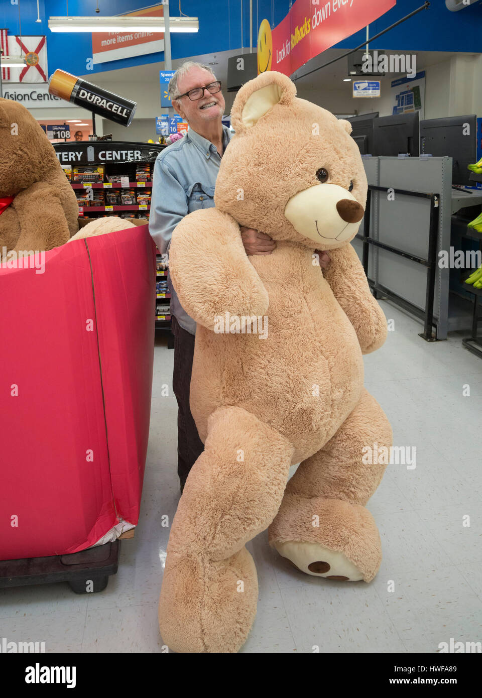 Oso en la tienda fotografías e imágenes de alta resolución - Alamy