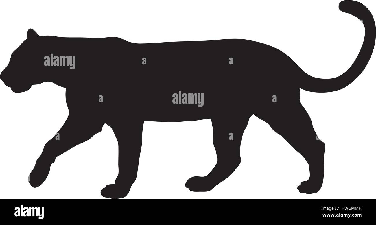 Resumen ilustración vectorial de puma Imagen Vector de stock - Alamy
