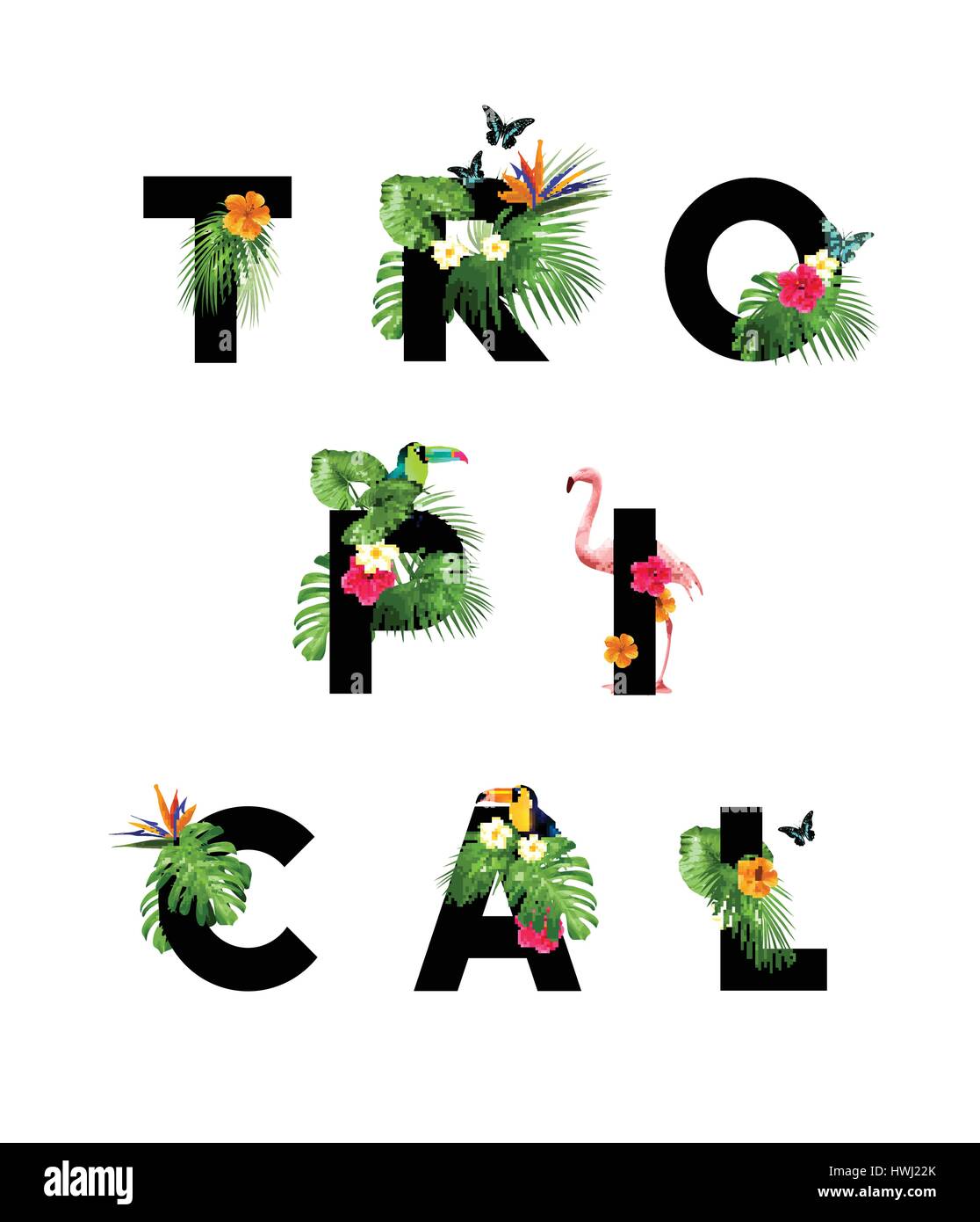 Tipo de letras de temática tropical con palmeras de la selva y la vida silvestre. Ilustración vectorial Ilustración del Vector