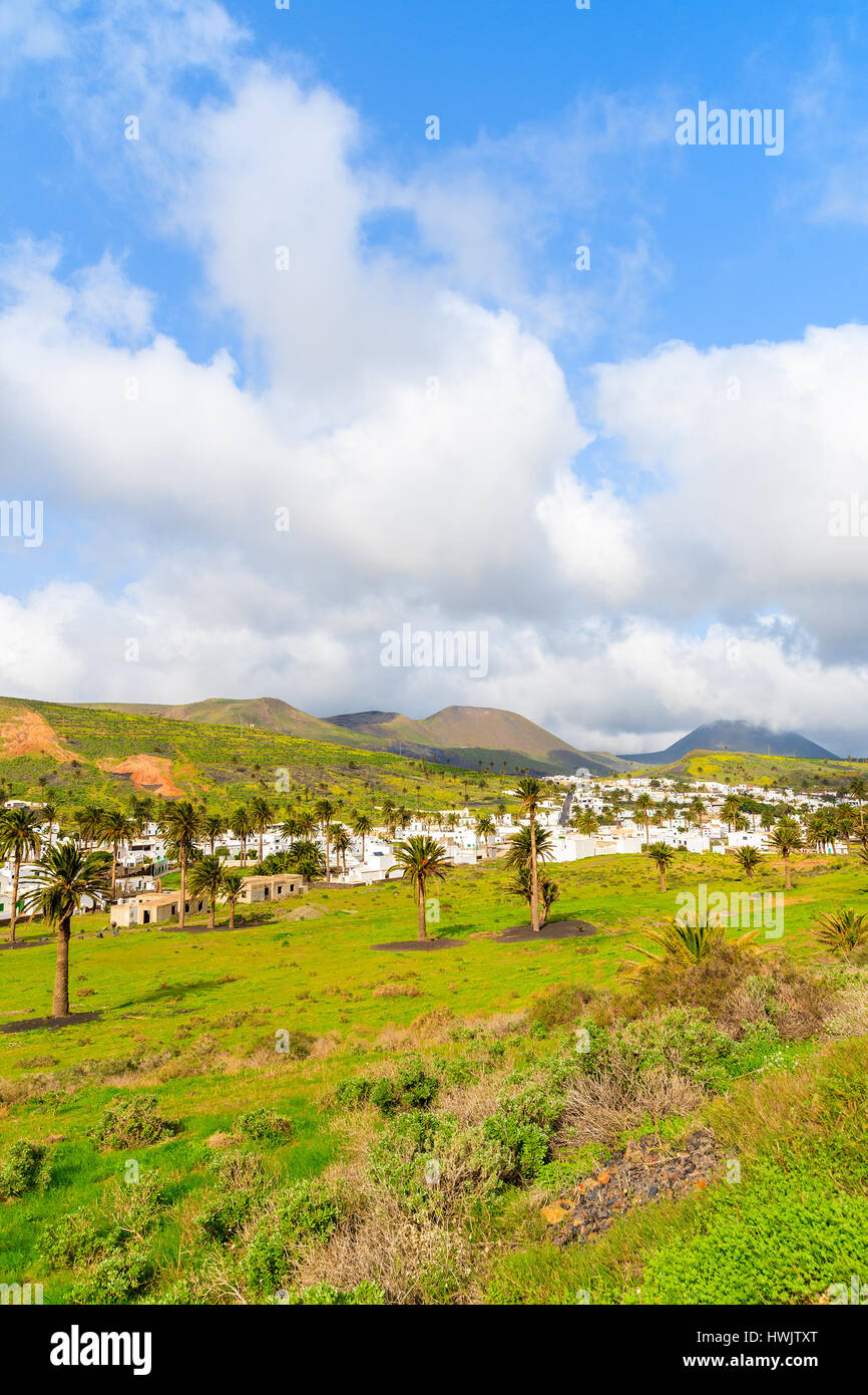 Palmeras en el valle de la montaña cerca de la aldea de Haría, Lanzarote, ESPAÑA Foto de stock