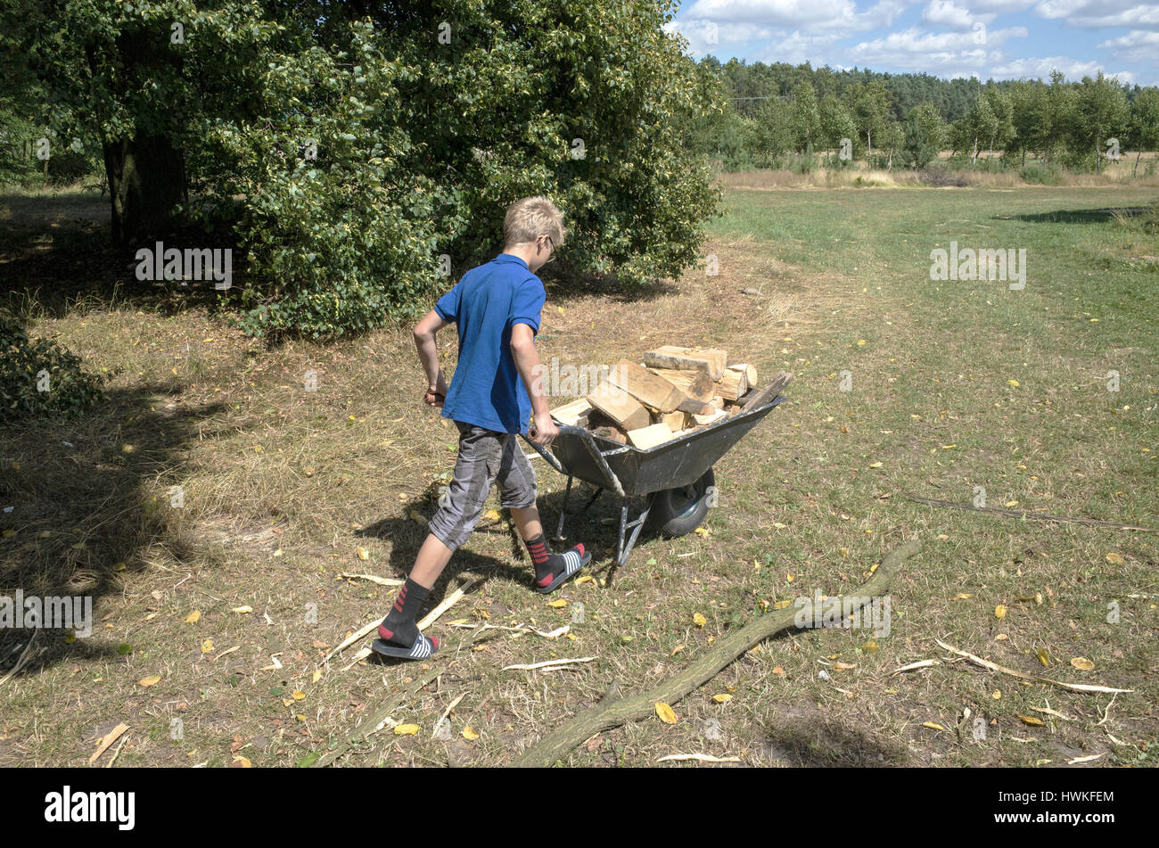 Niño empujando la carretilla de mano lleno de troncos de leña a través del campo. Macho polaco de 12 años que trabajan. Zawady Polonia Central Europa Foto de stock