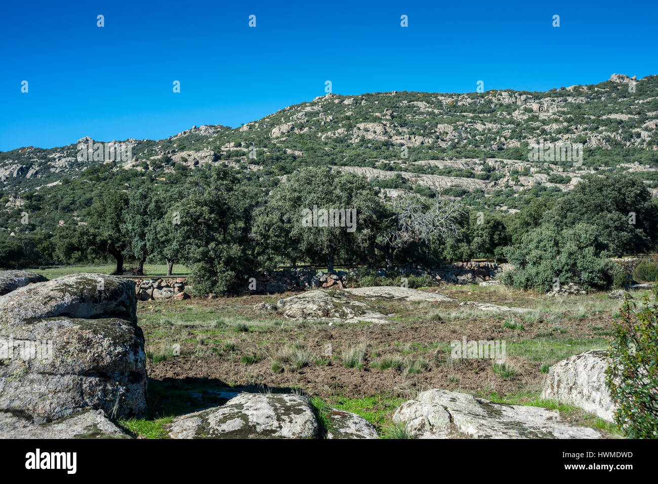 Valle de hoyo fotografías e imágenes de alta resolución - Alamy