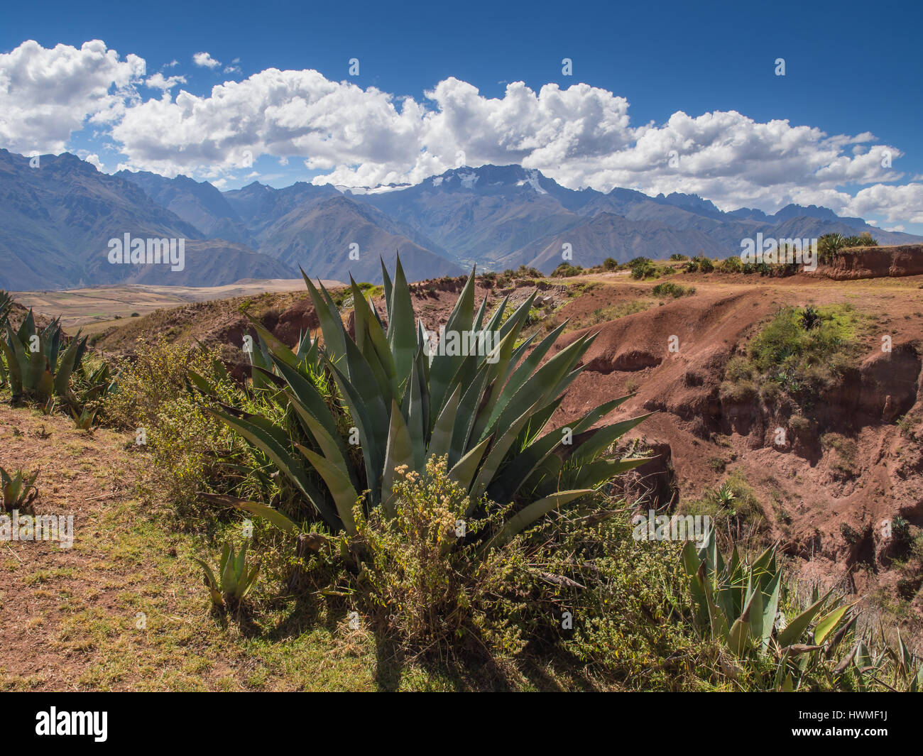 Los Andes cerca de la ruinas de Moray, en el Valle Sagrado de los Incas, Perú Foto de stock
