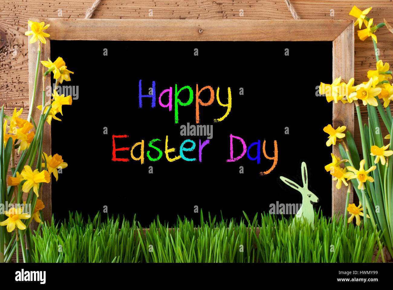 Narciso, Bunny, colorido texto Feliz Día de Pascua Foto de stock