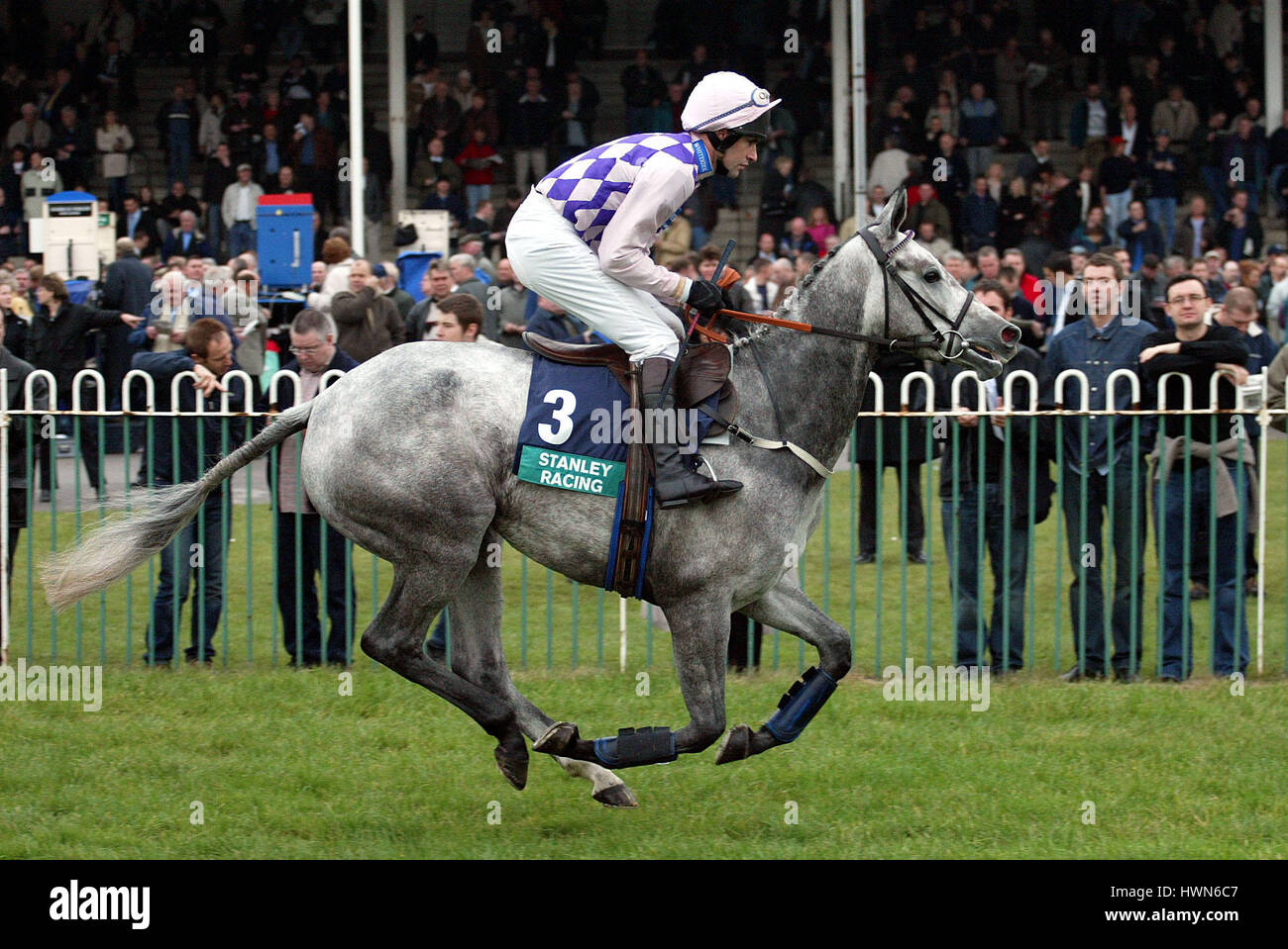 Señora estratagema montado por B.HARDING WETHERBY WETHERBY RACECOARSE INGLATERRA 01 de noviembre de 2002 Foto de stock