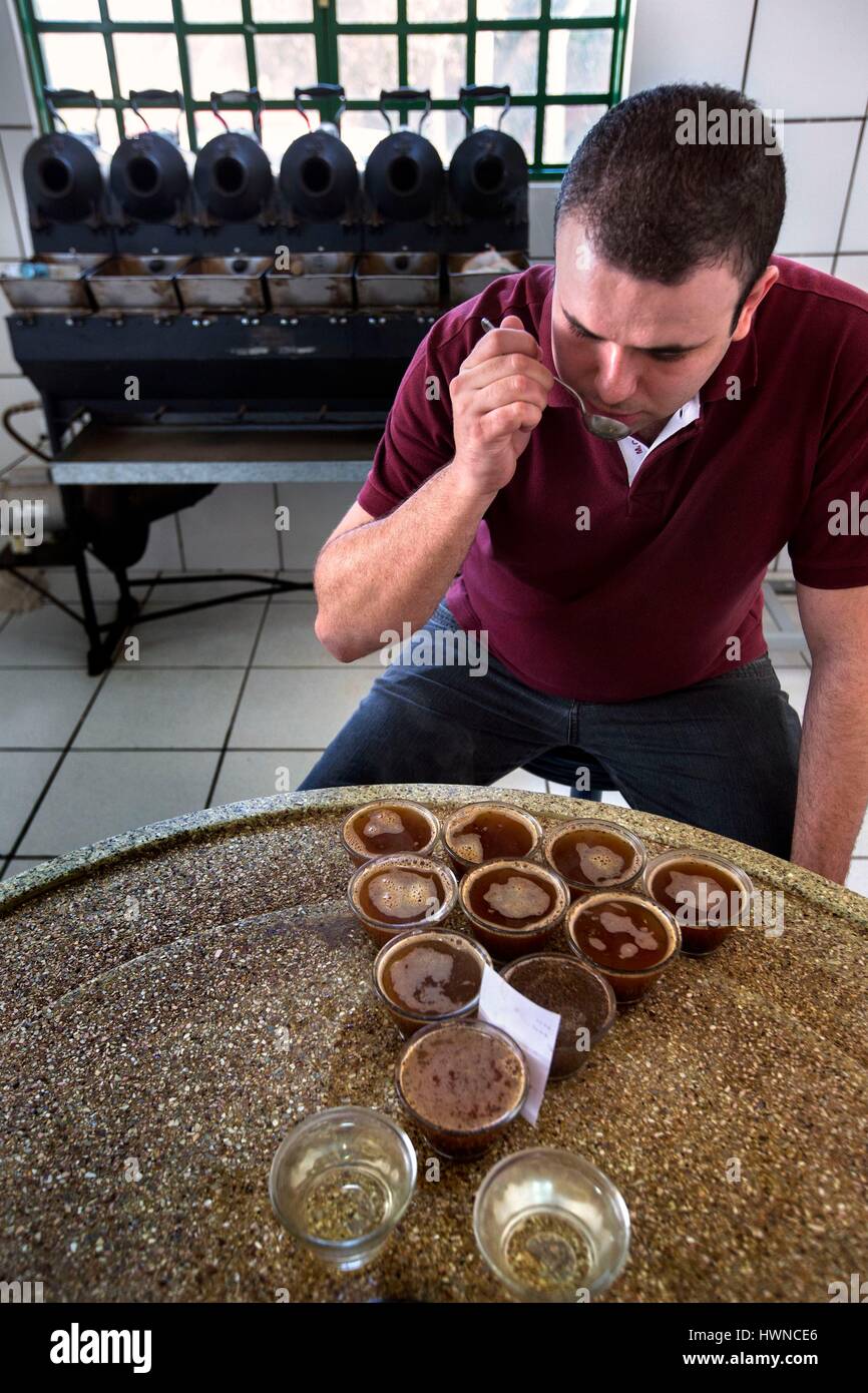 Brasil, Minas Gerais, Muzambinho, (al norte de Sao Paulo), stockler  comercial exportador de café Nespresso, socio de AAA de calidad sostenible  programa. Gustavo Borges de Deus, un catador de café, realiza un