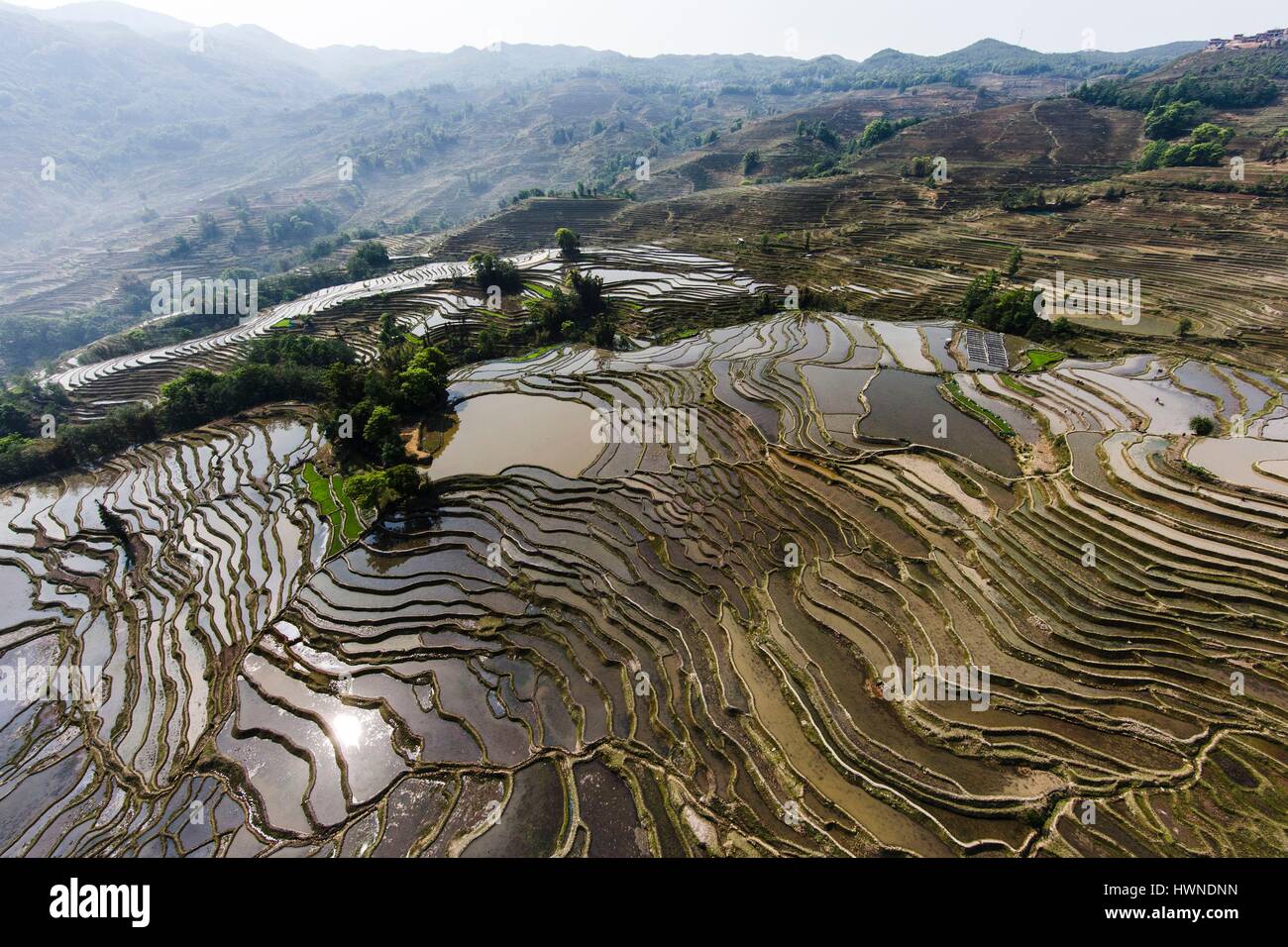 China Yunnan Honghe, estado, distrito, ciudad, Monte Ailao Yuanyang, campos de arroz en terrazas listados como Patrimonio Mundial por la UNESCO (vista aérea) Foto de stock