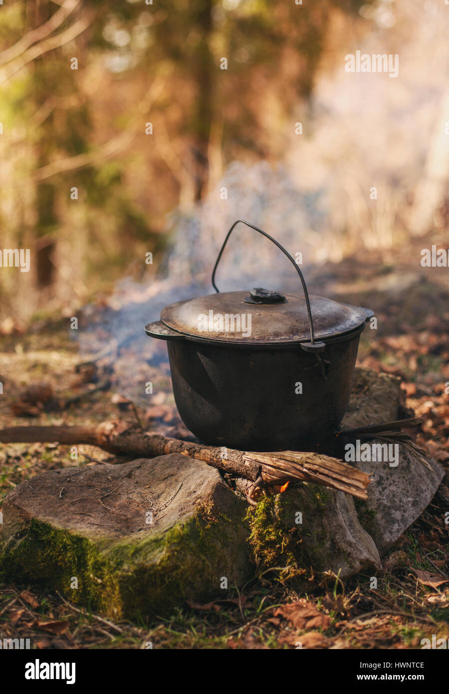 Calderos Metálicos Con Tapa Se Calientan Y Ahuman Sobre Un Fuego En El  Bosque Platos Turísticos Para Cocinar. Foto de archivo - Imagen de  cocinero, kitchenware: 192302482