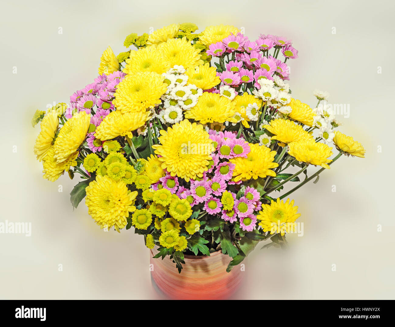 Amarillo, blanco y malva ramo de flores de los crisantemos, arreglo floral  con madres o chrysanths, coloreado, caso de cerca Fotografía de stock -  Alamy