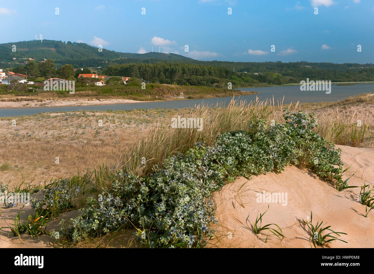 Dunas y laguna de Frouxeira, Valdoviño, provincia de La Coruña, en la región de Galicia, España, Europa Foto de stock
