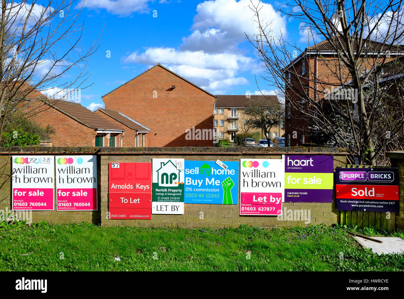 Los agentes inmobiliarios boards, fuera de los bloques de pisos, Norwich, Norfolk, Inglaterra Foto de stock