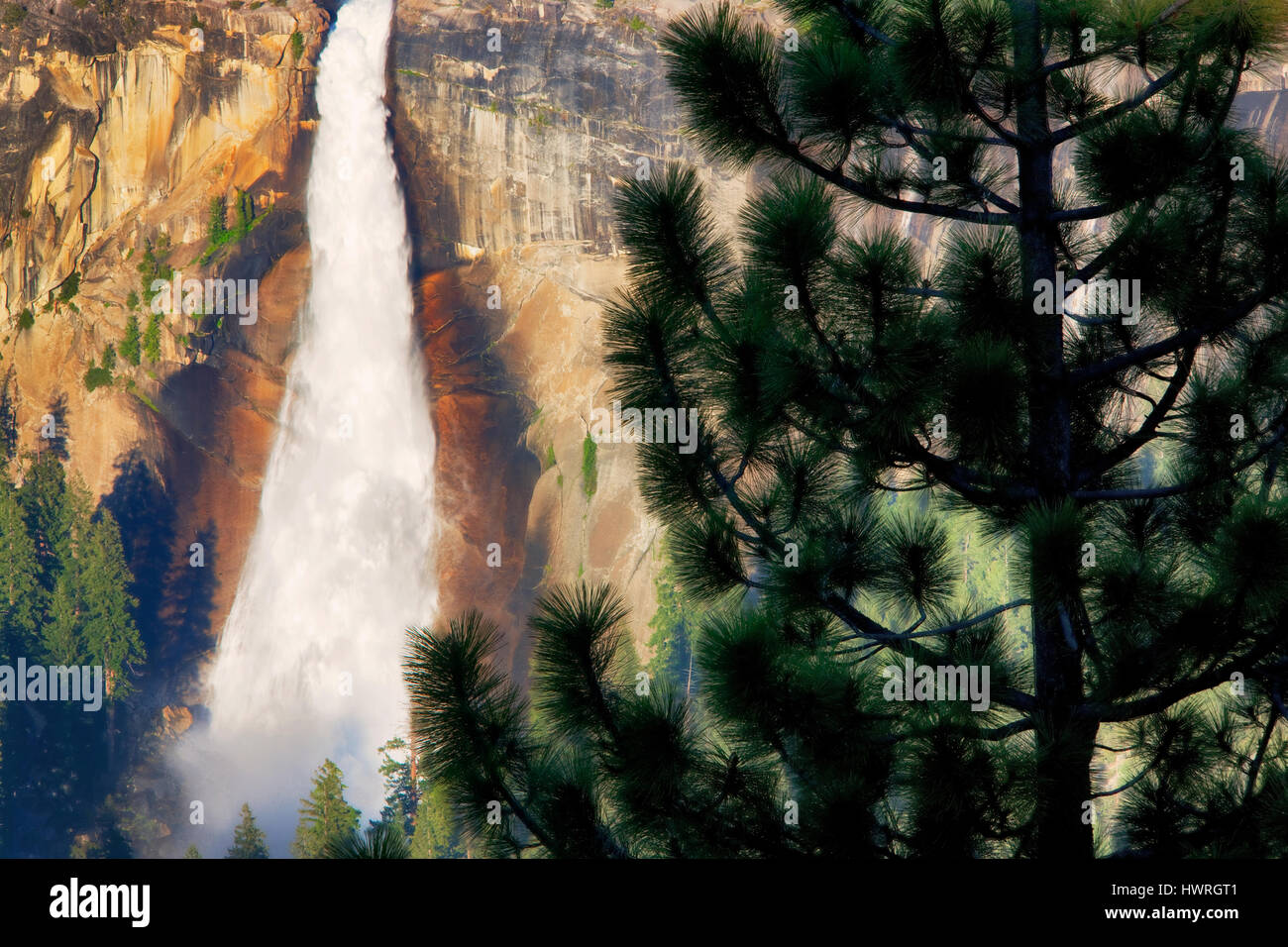 Nevada Falls y el pino, como se ve desde el glaciar de punto. Parque Nacional Yosemite, California Foto de stock